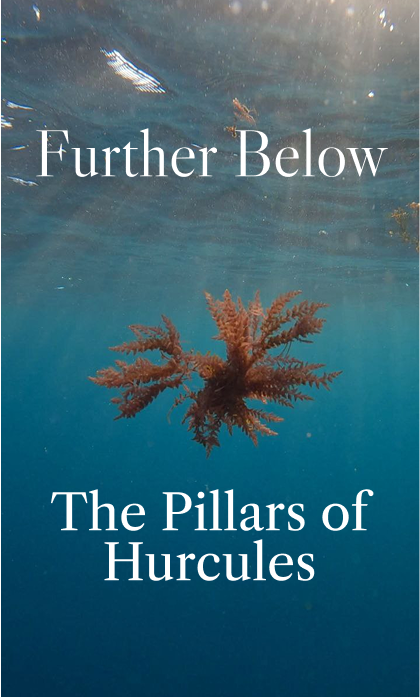 Interactive Composition